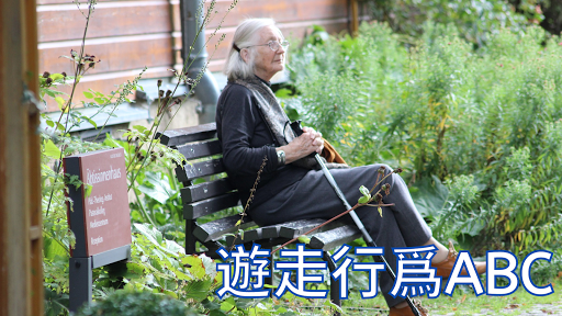 遊走行爲觀察abc-二